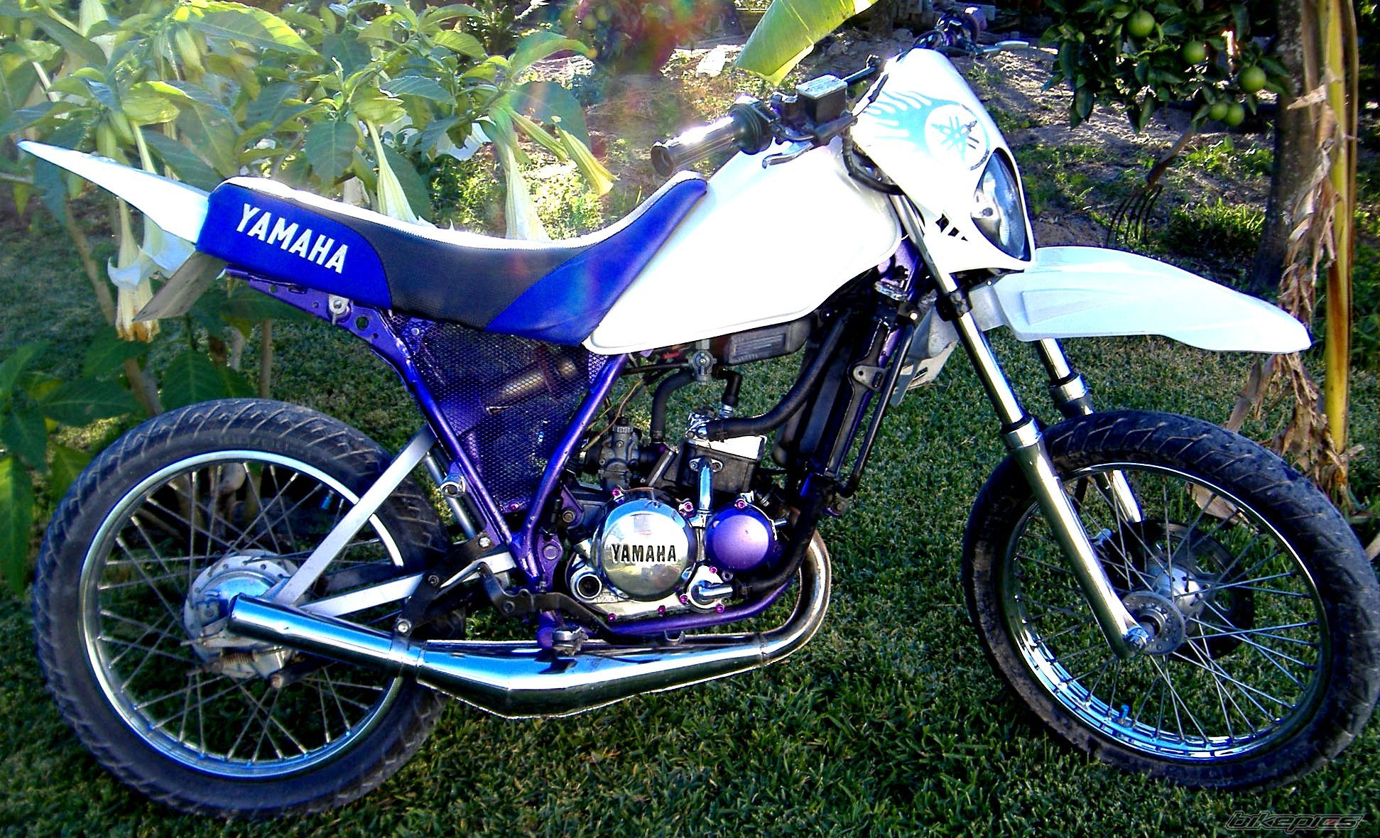 Bike Photo 1134730