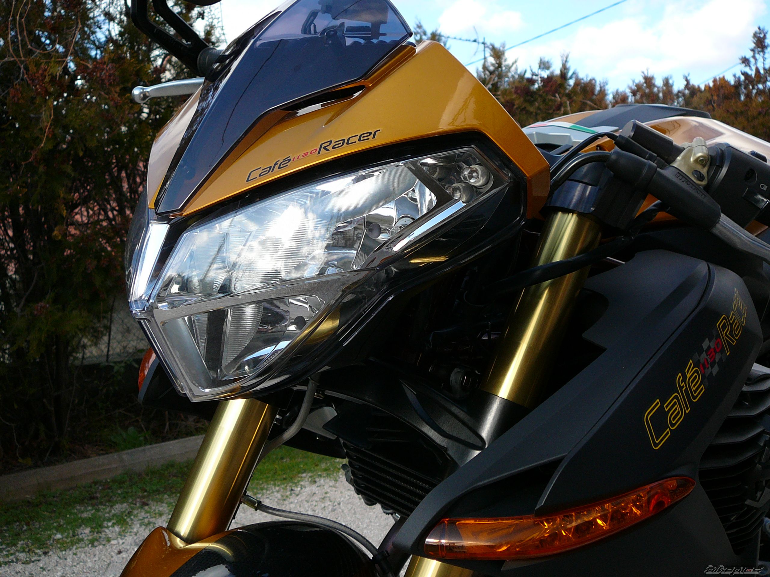 Photo 1134737