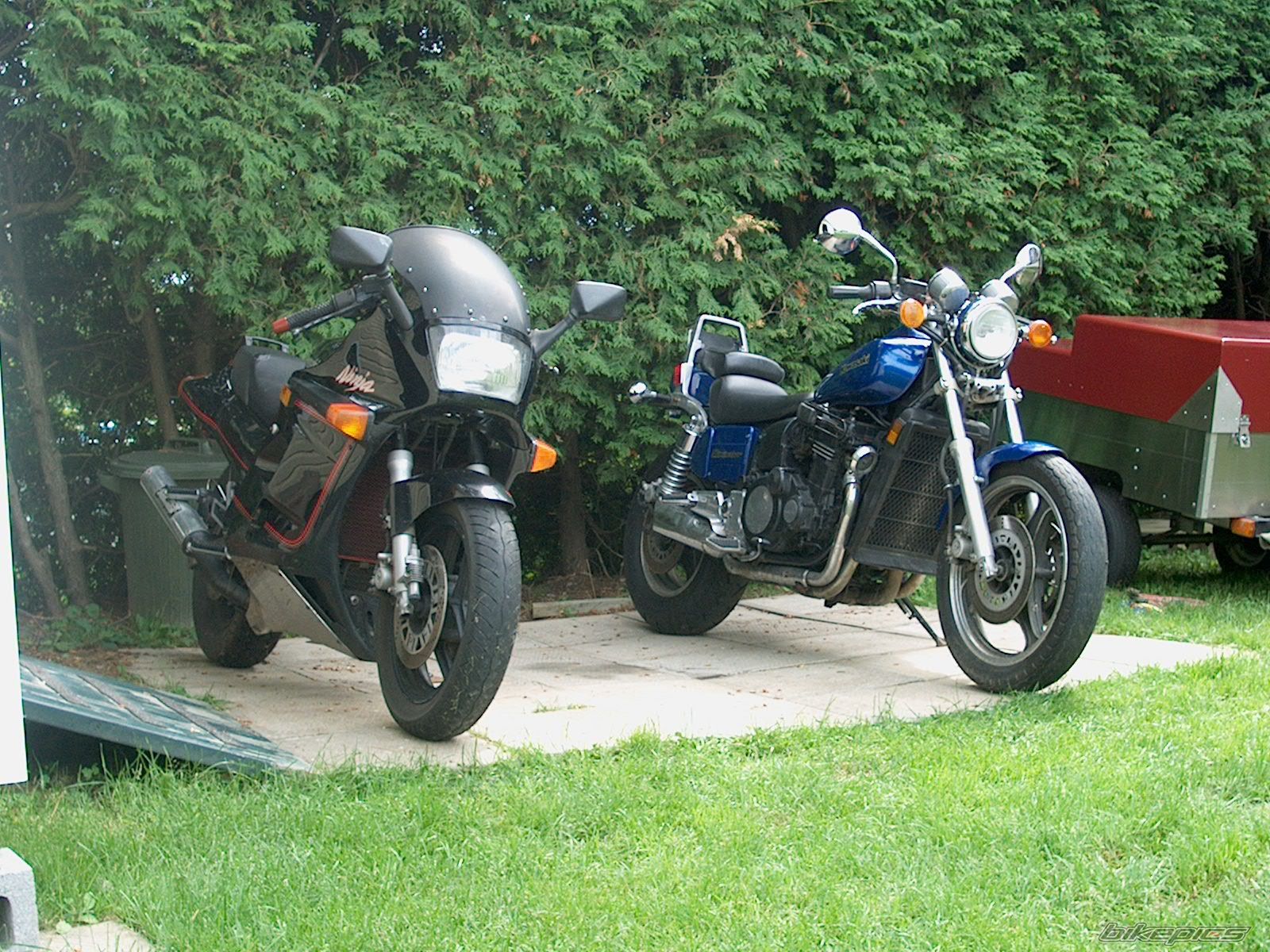 Photo 1134880