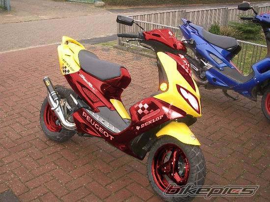 Bike Photo 113489