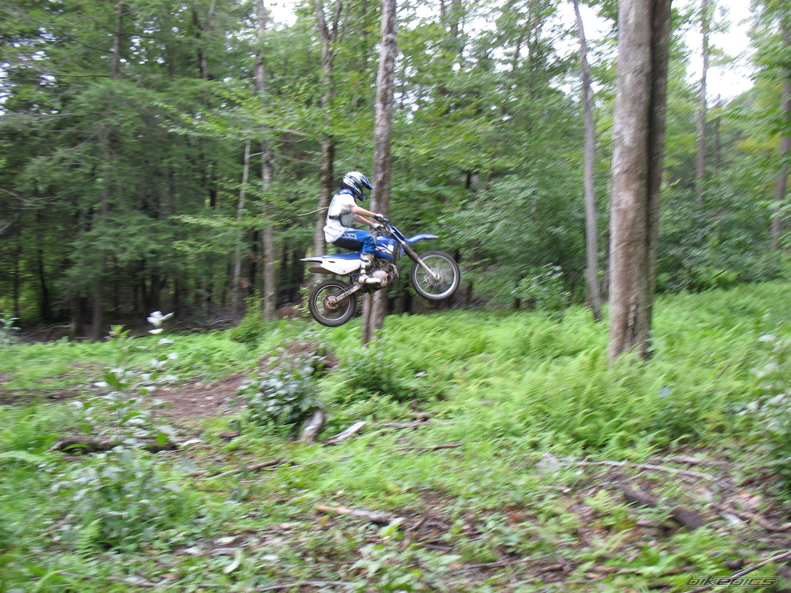Photo 1134919