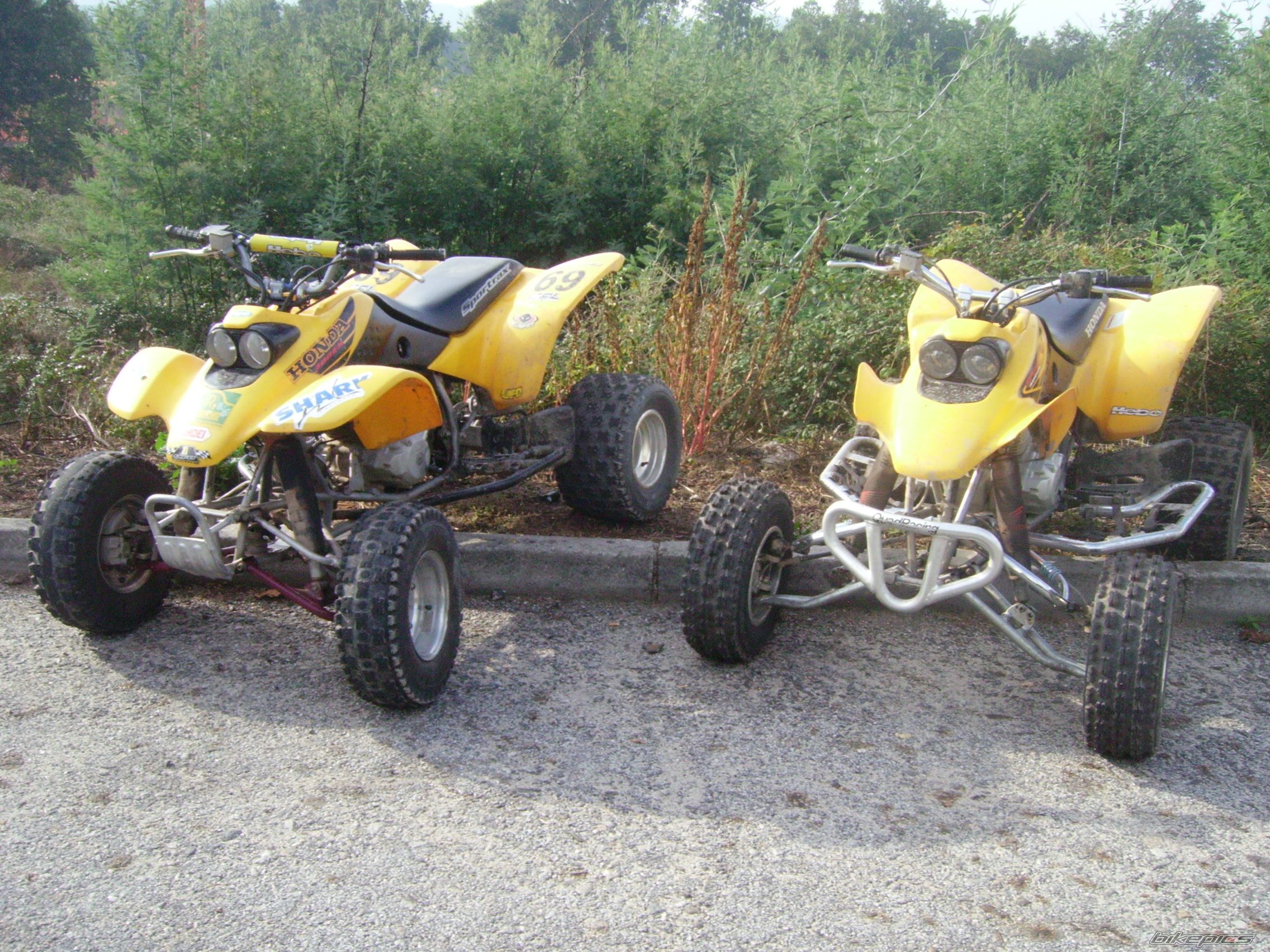 Photo 1134940