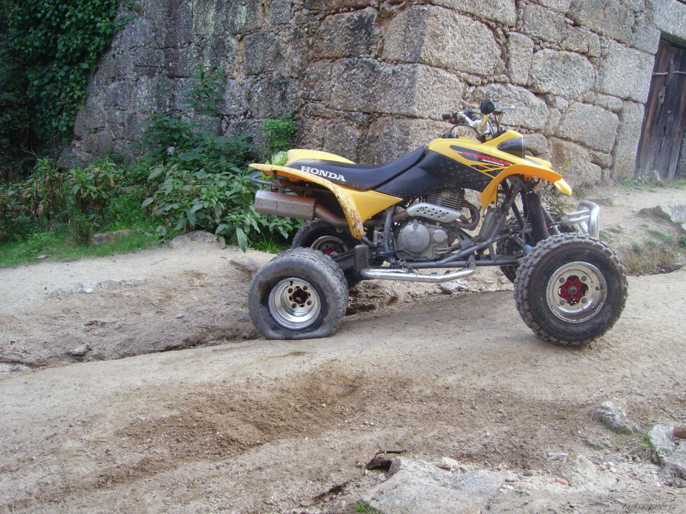 Bike Photo 1134959