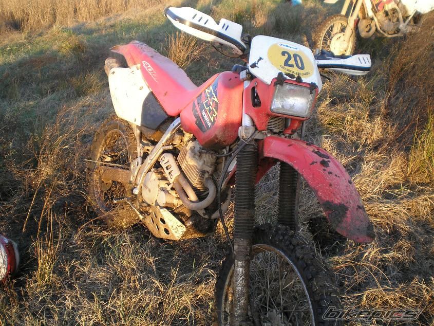Bike Photo 1134987