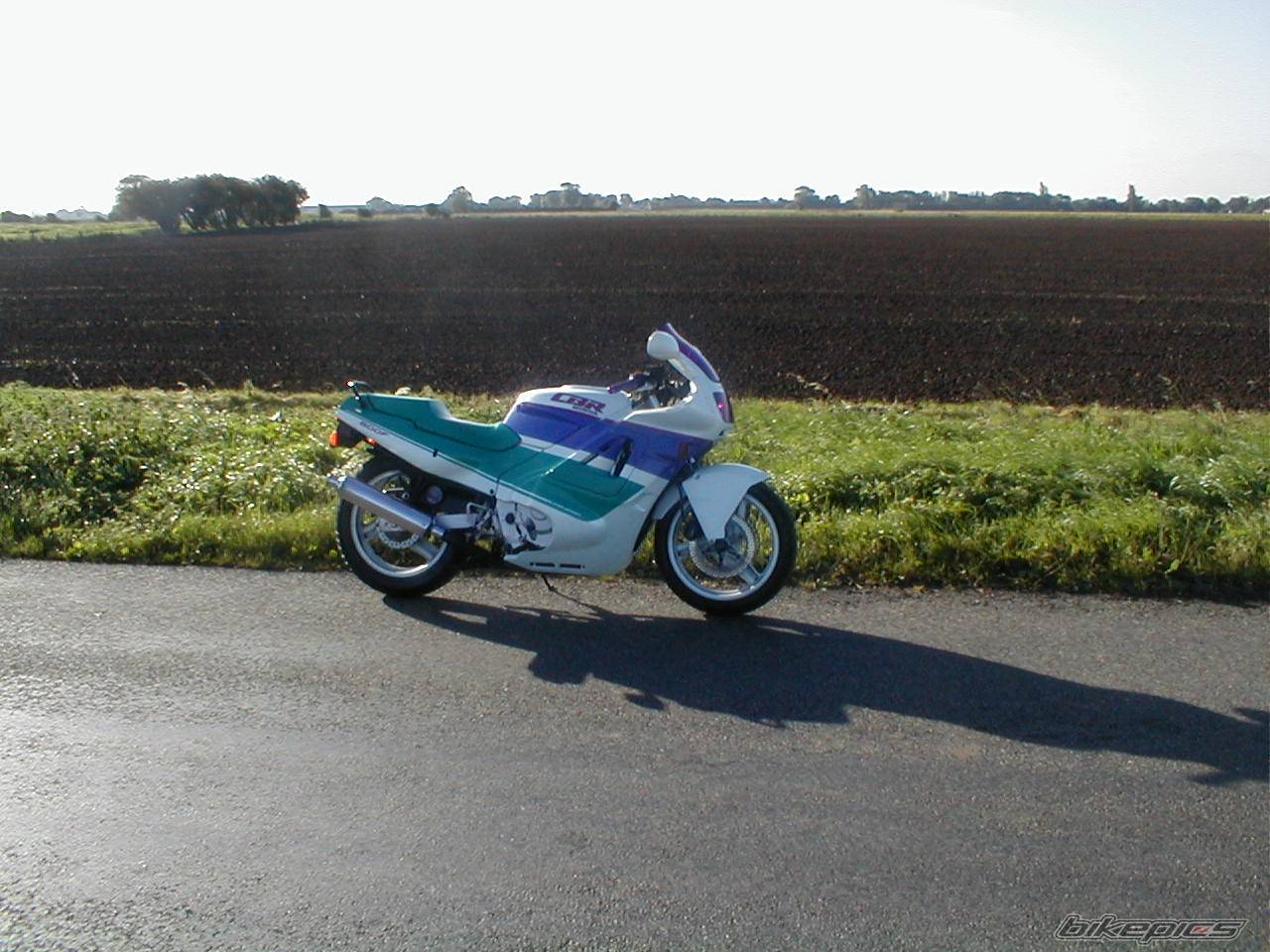 Photo 11350