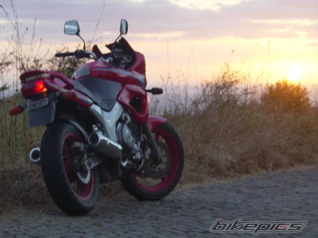 Photo 113500
