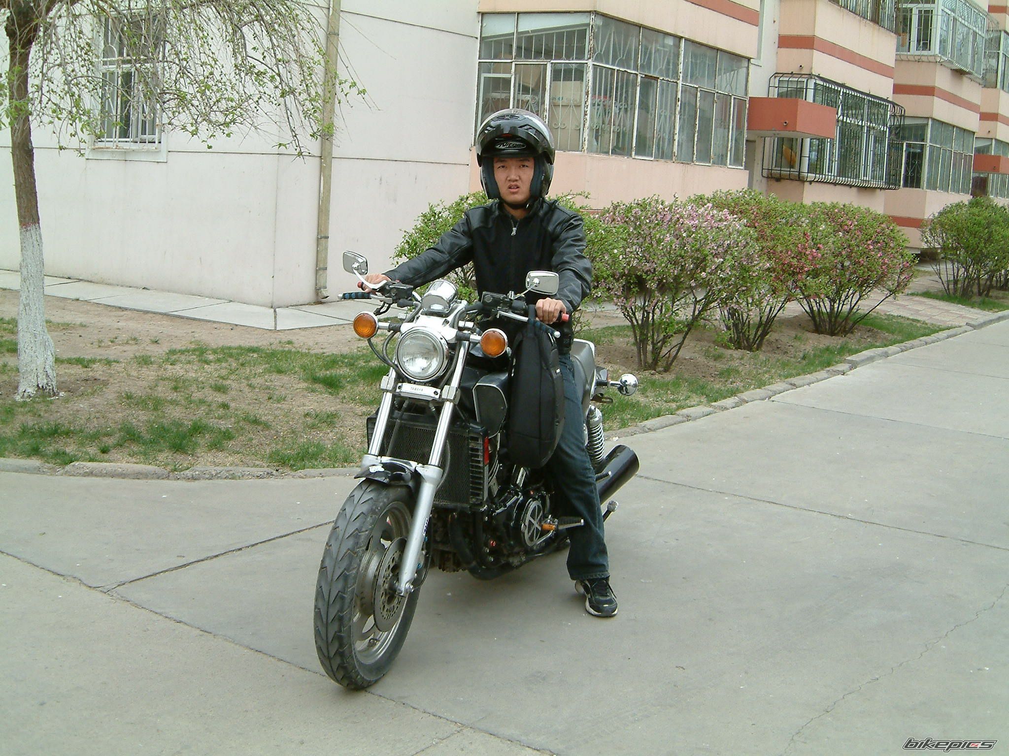 Photo 1135078