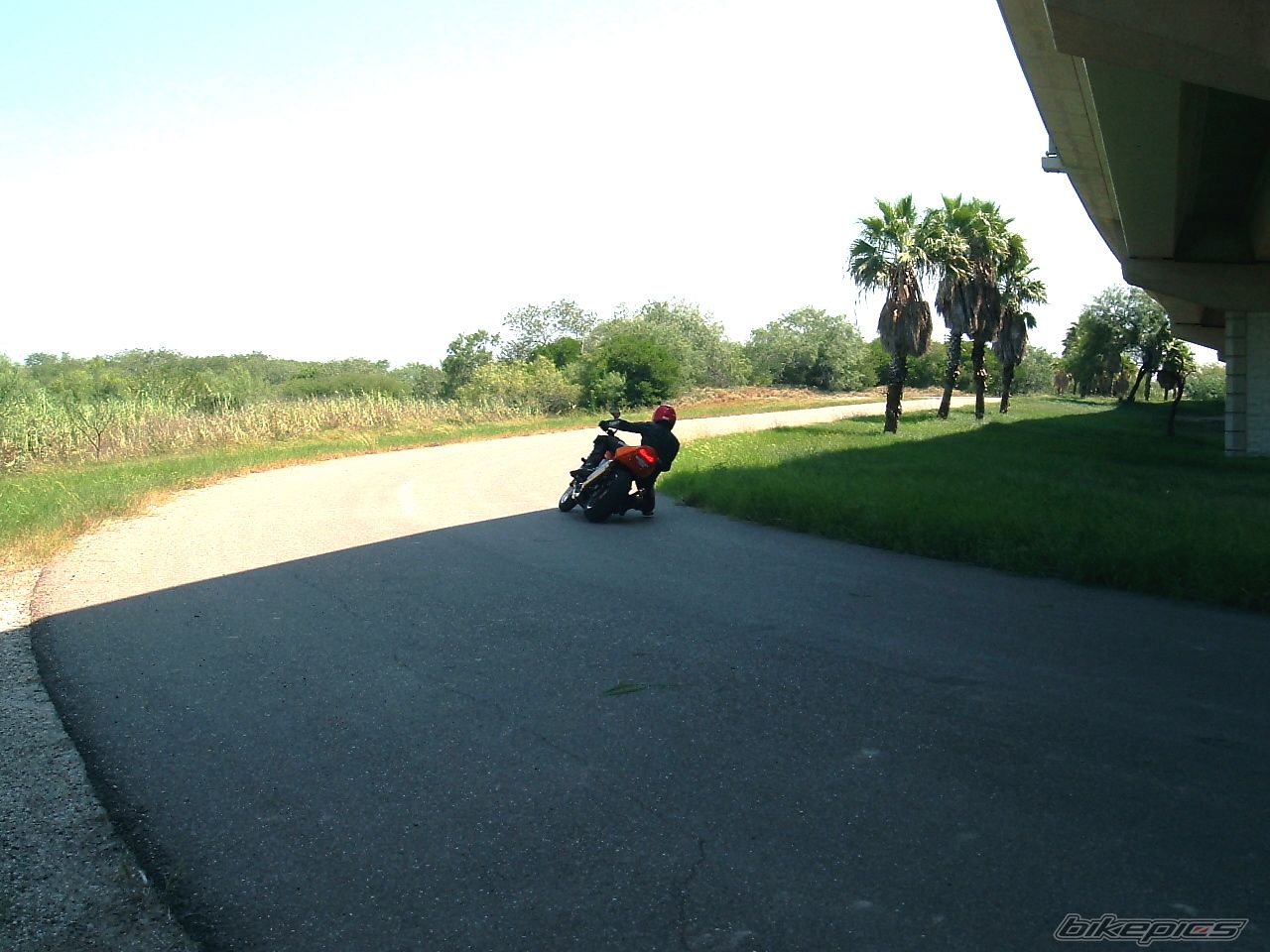 Photo 1135102