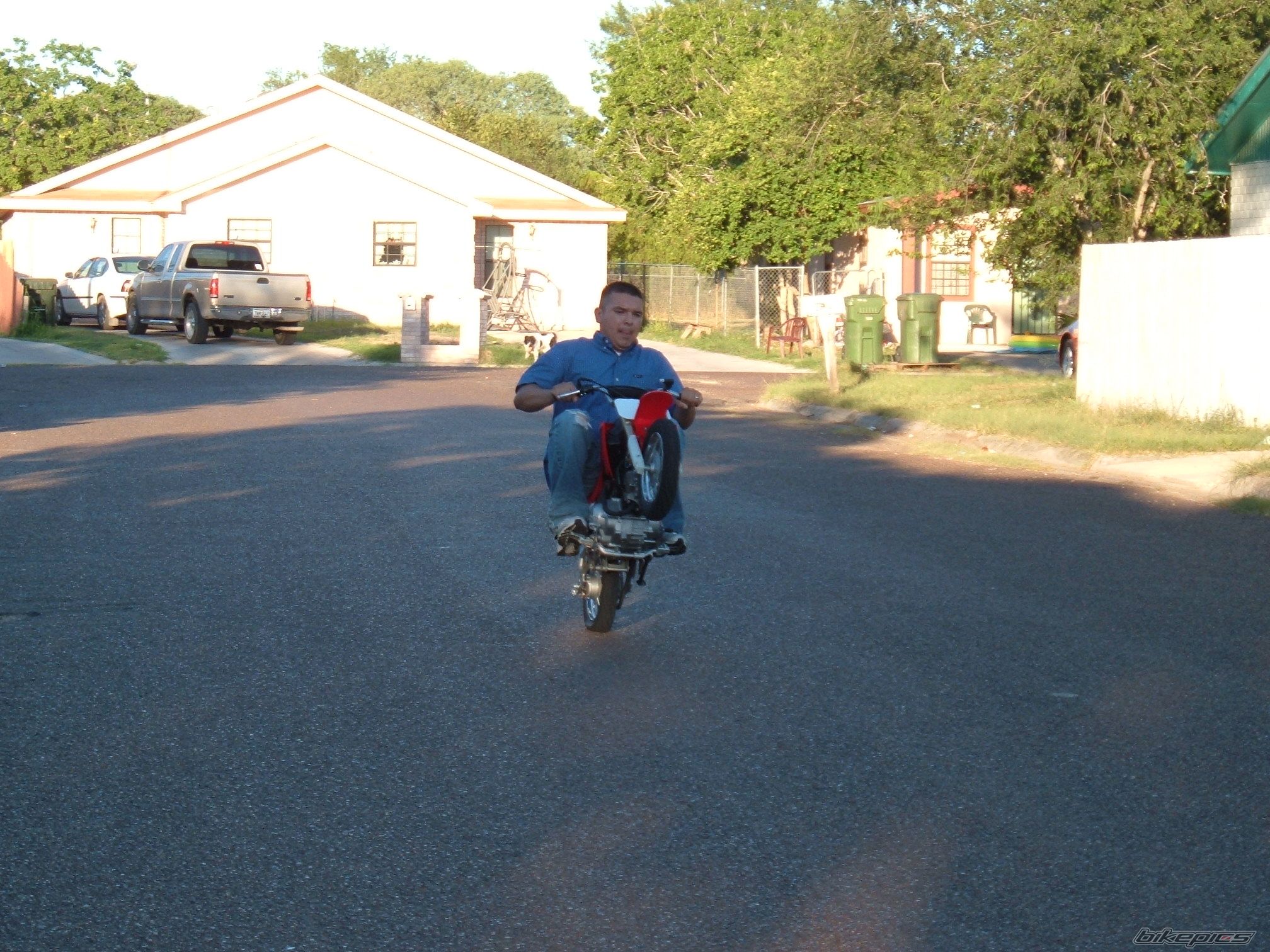 Photo 1135125