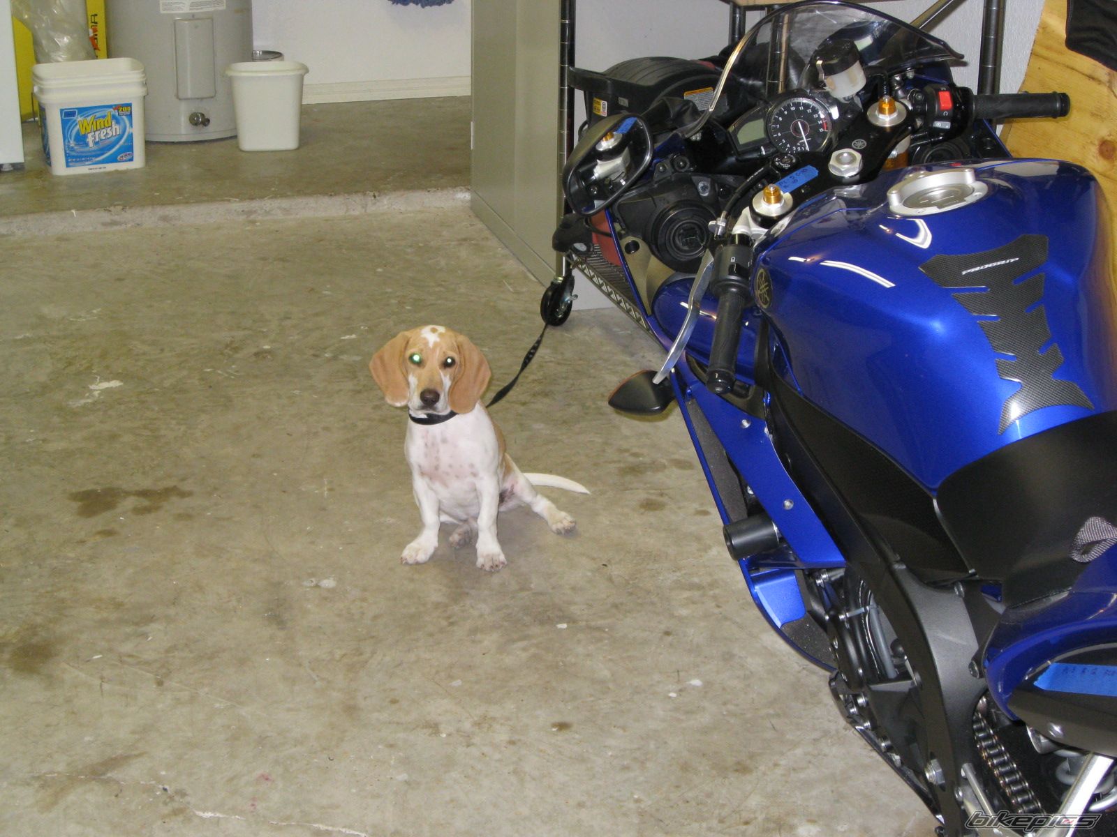 Photo 1135142
