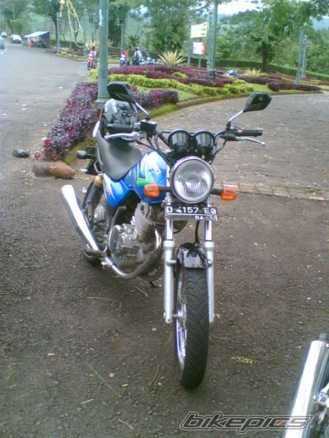 Photo 1135249