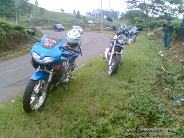 Photo 1135250