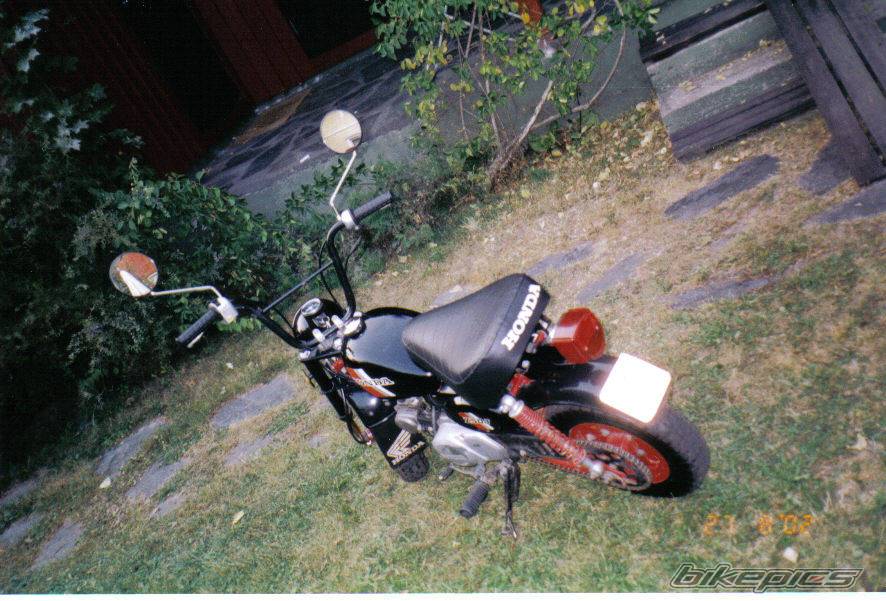 Photo 113530