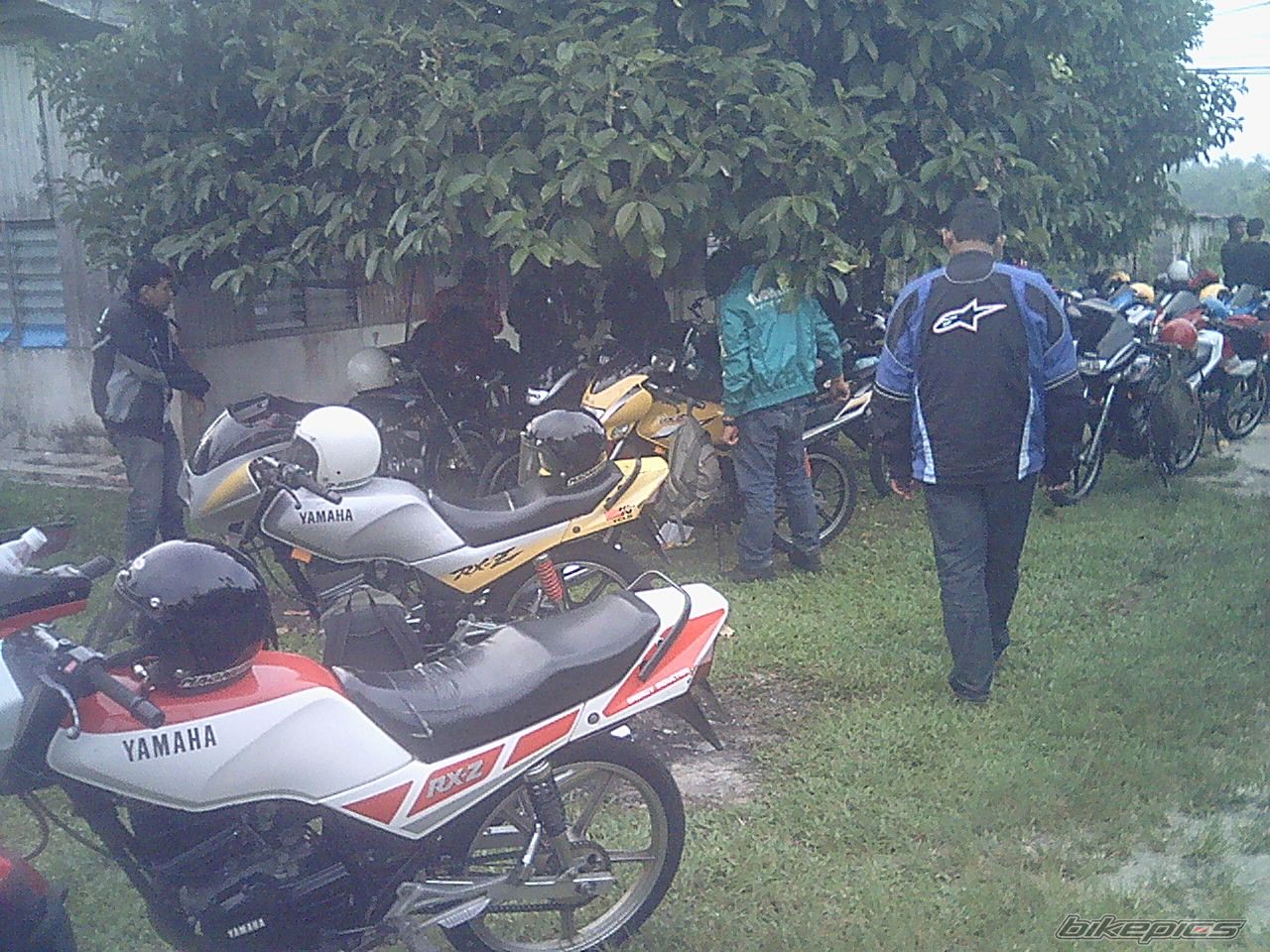 Photo 1135329