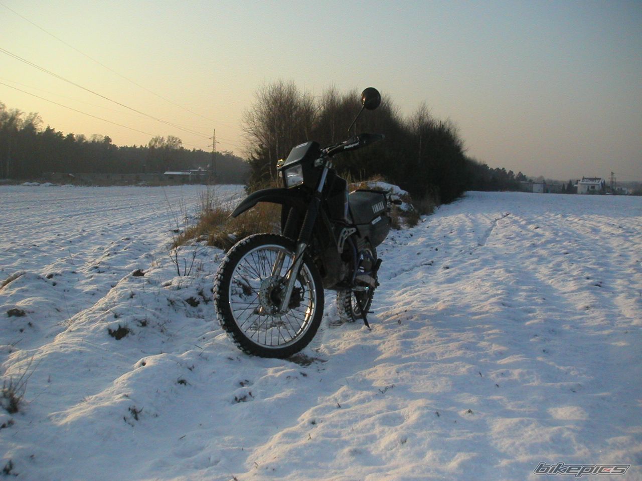 Photo 1135330