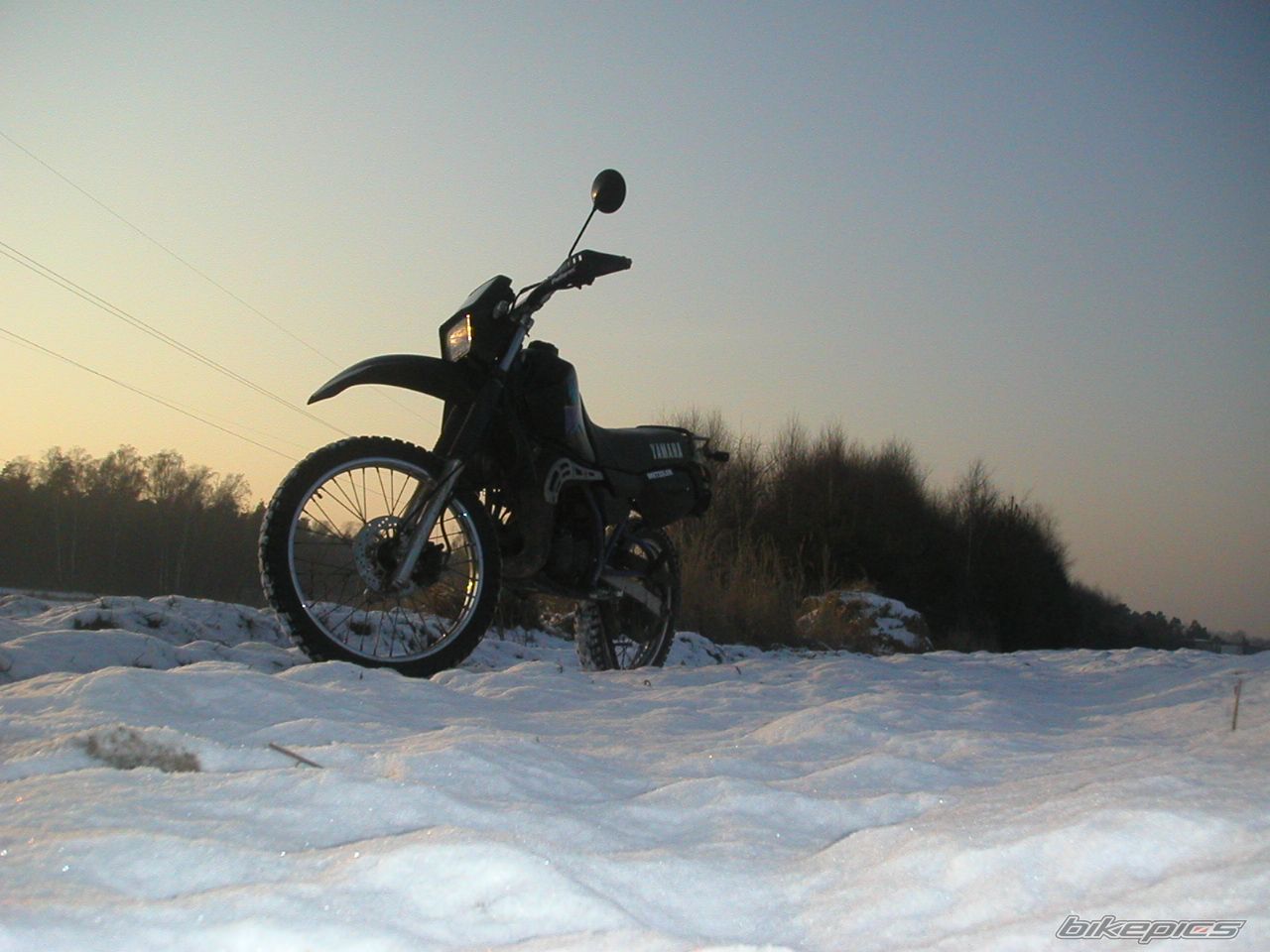 Photo 1135331