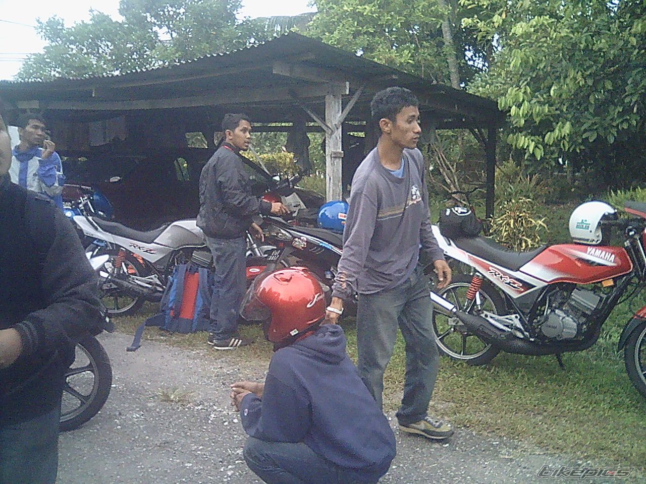 Photo 1135332