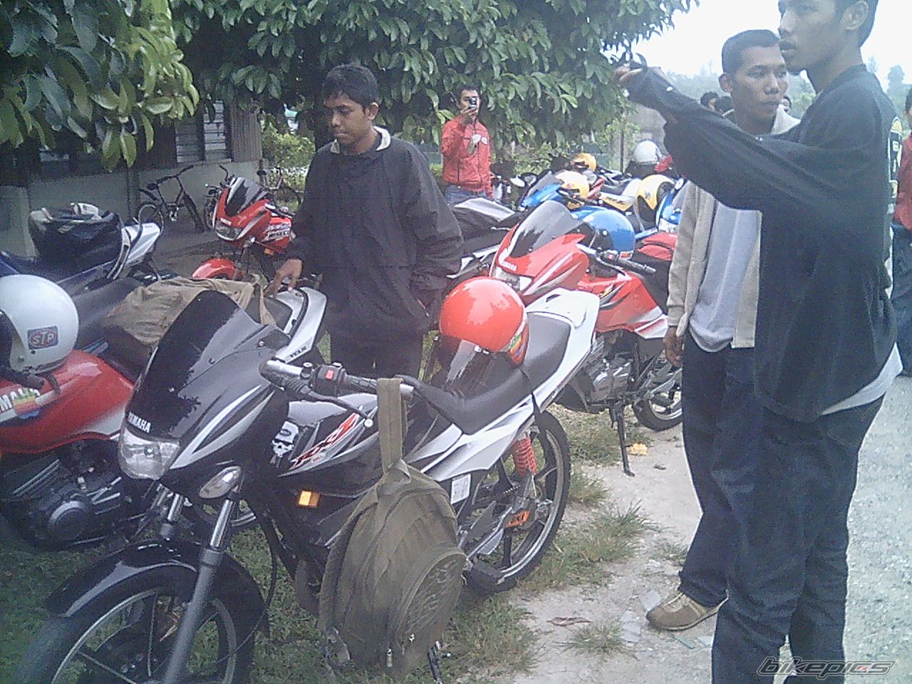 Photo 1135333