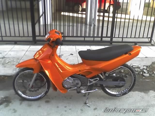 Photo 1135393