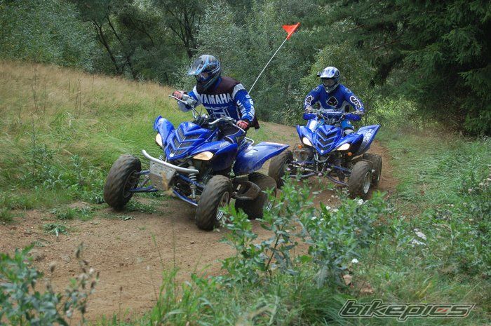 Photo 1135449