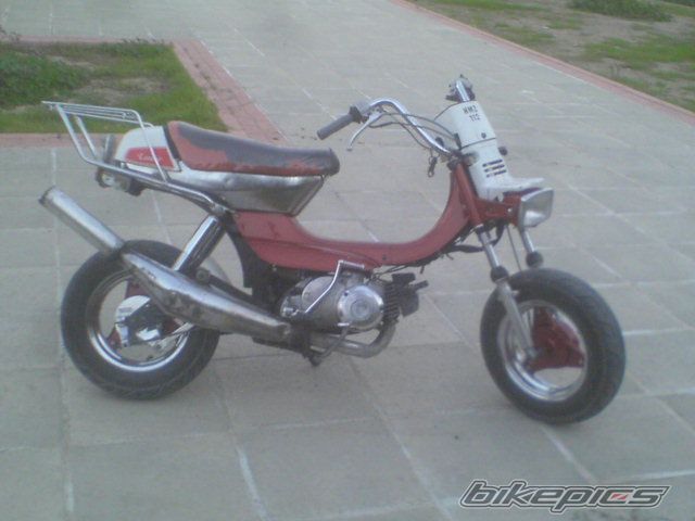 Photo 1135508