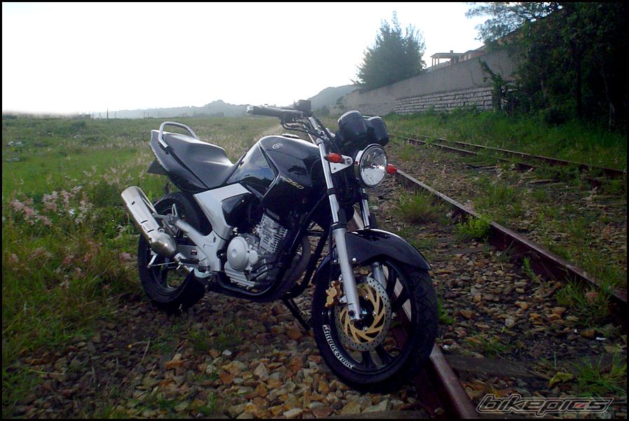 Photo 1135512