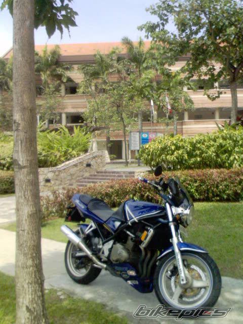 Photo 1135558