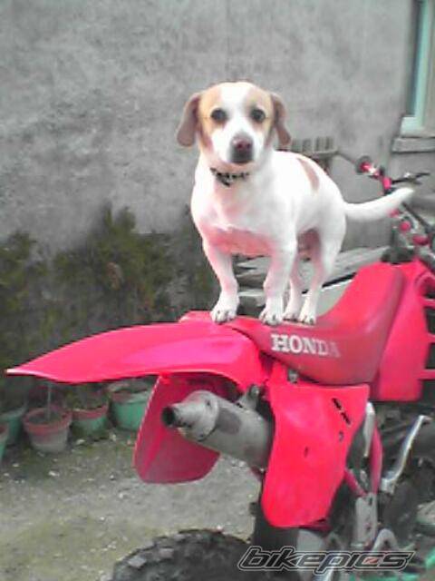Photo 113556