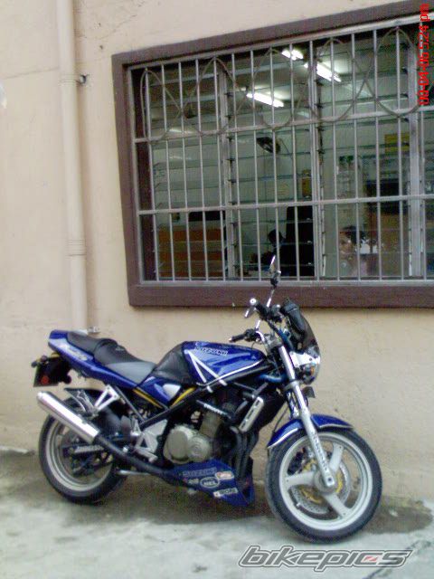 Photo 1135601
