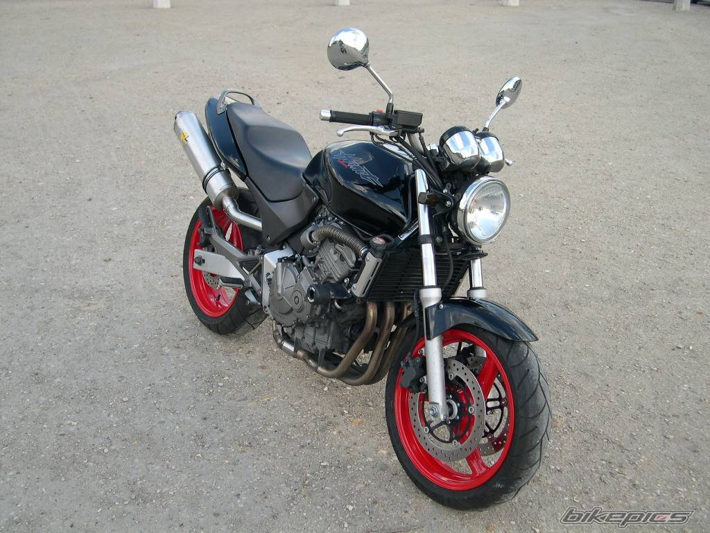 Photo 113561