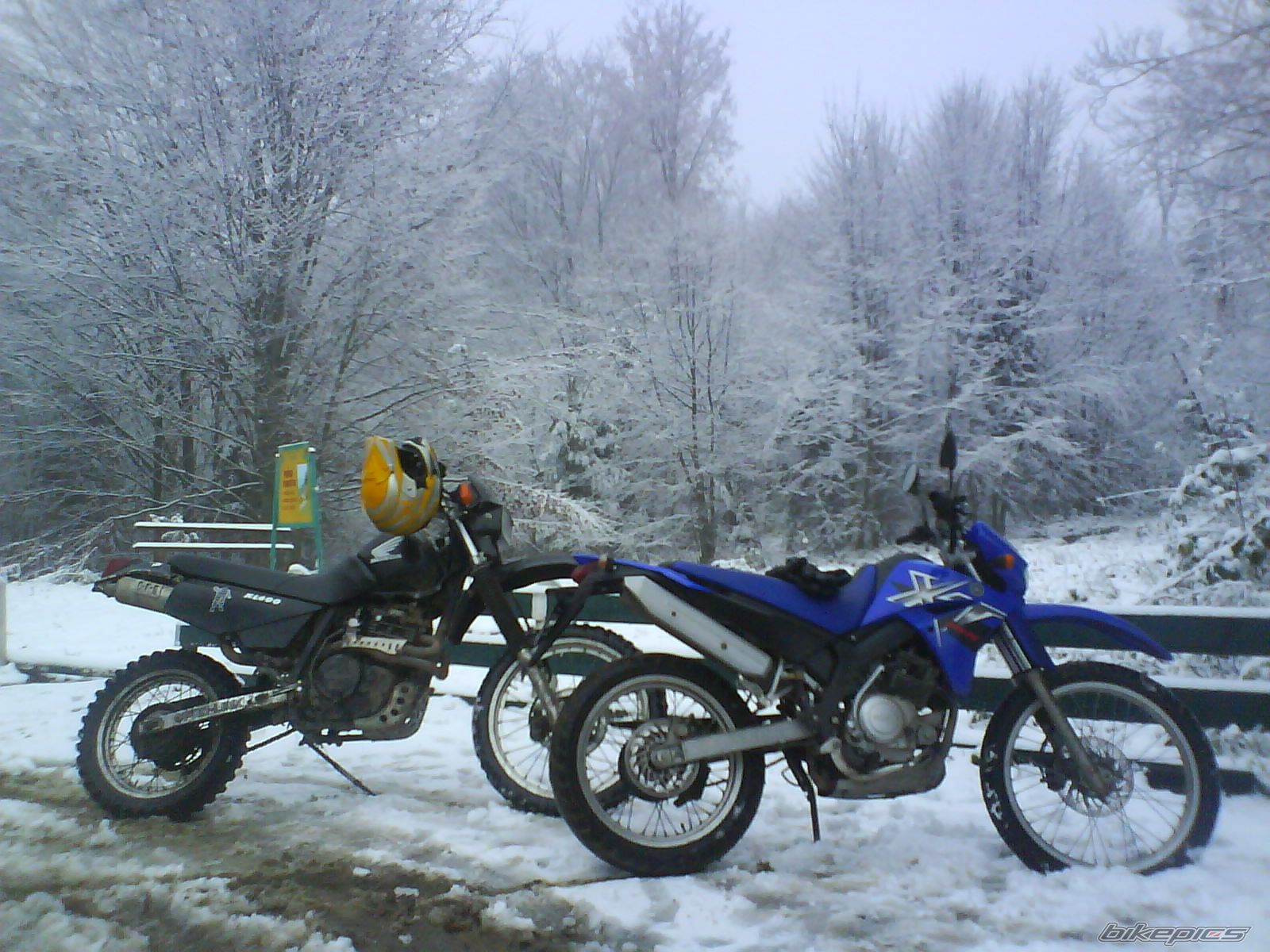 Bike Photo 1135612