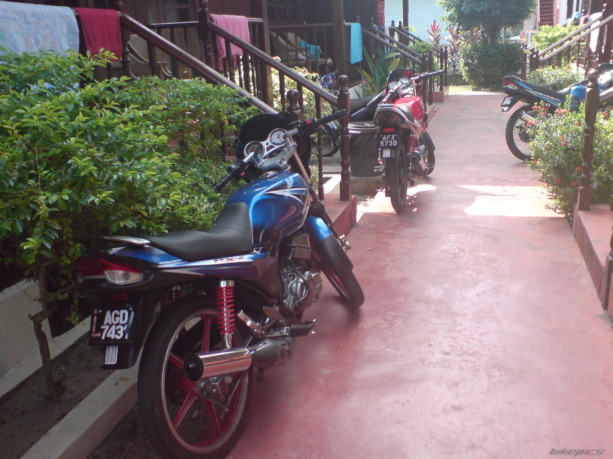 Bike Photo 1135754