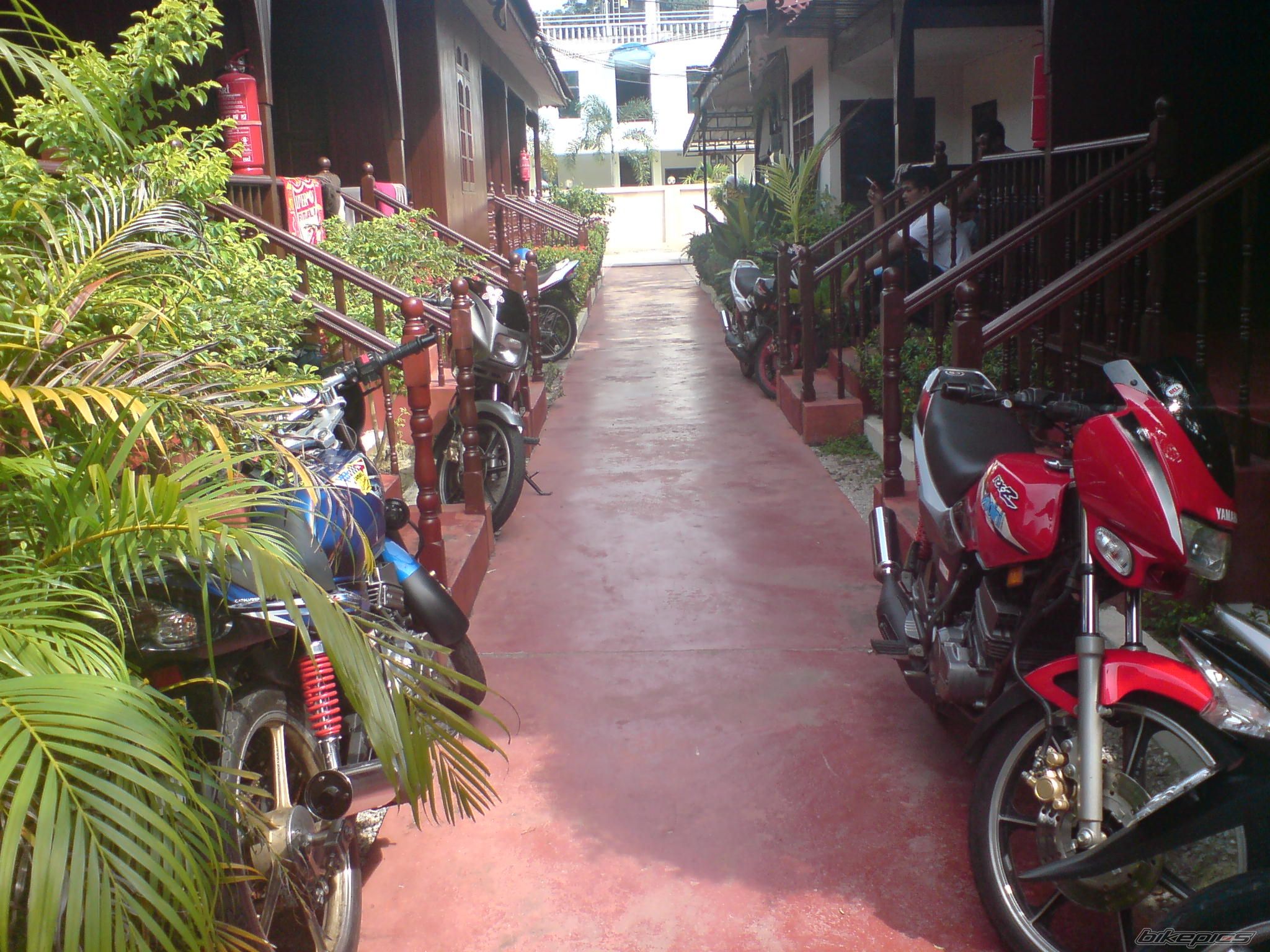 Bike Photo 1135757