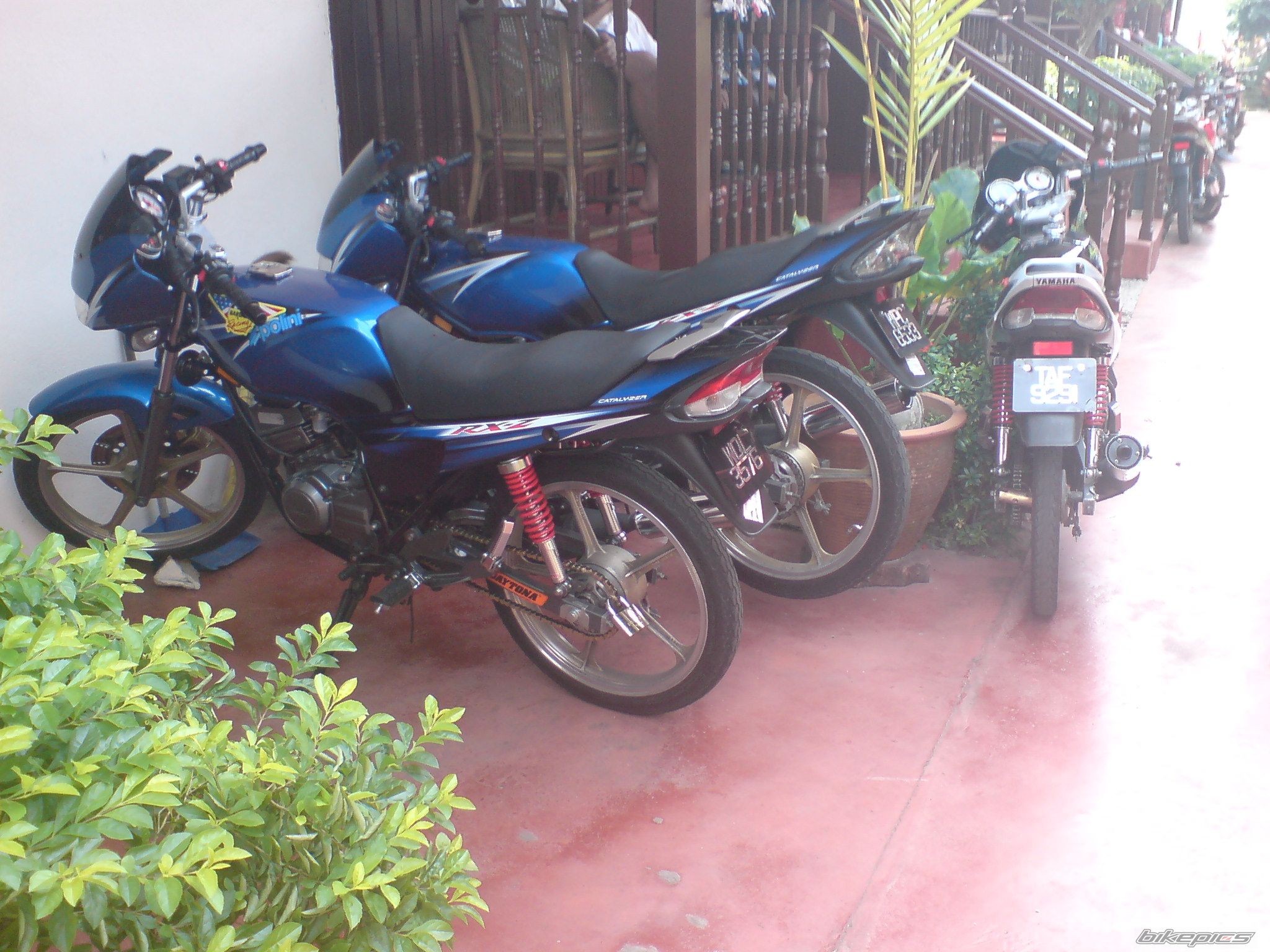 Bike Photo 1135765