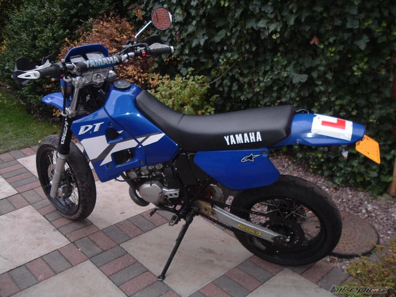 Photo 1135790