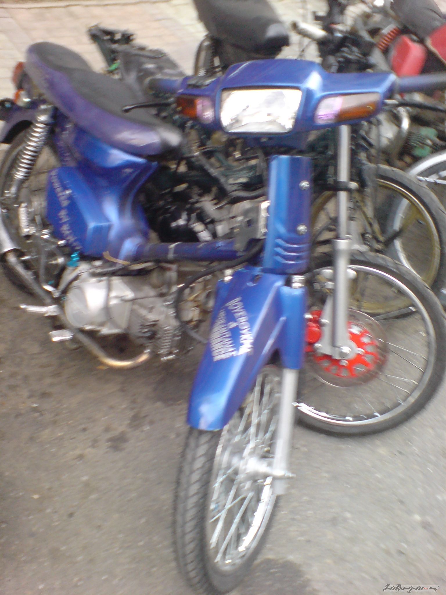 Photo 1135838