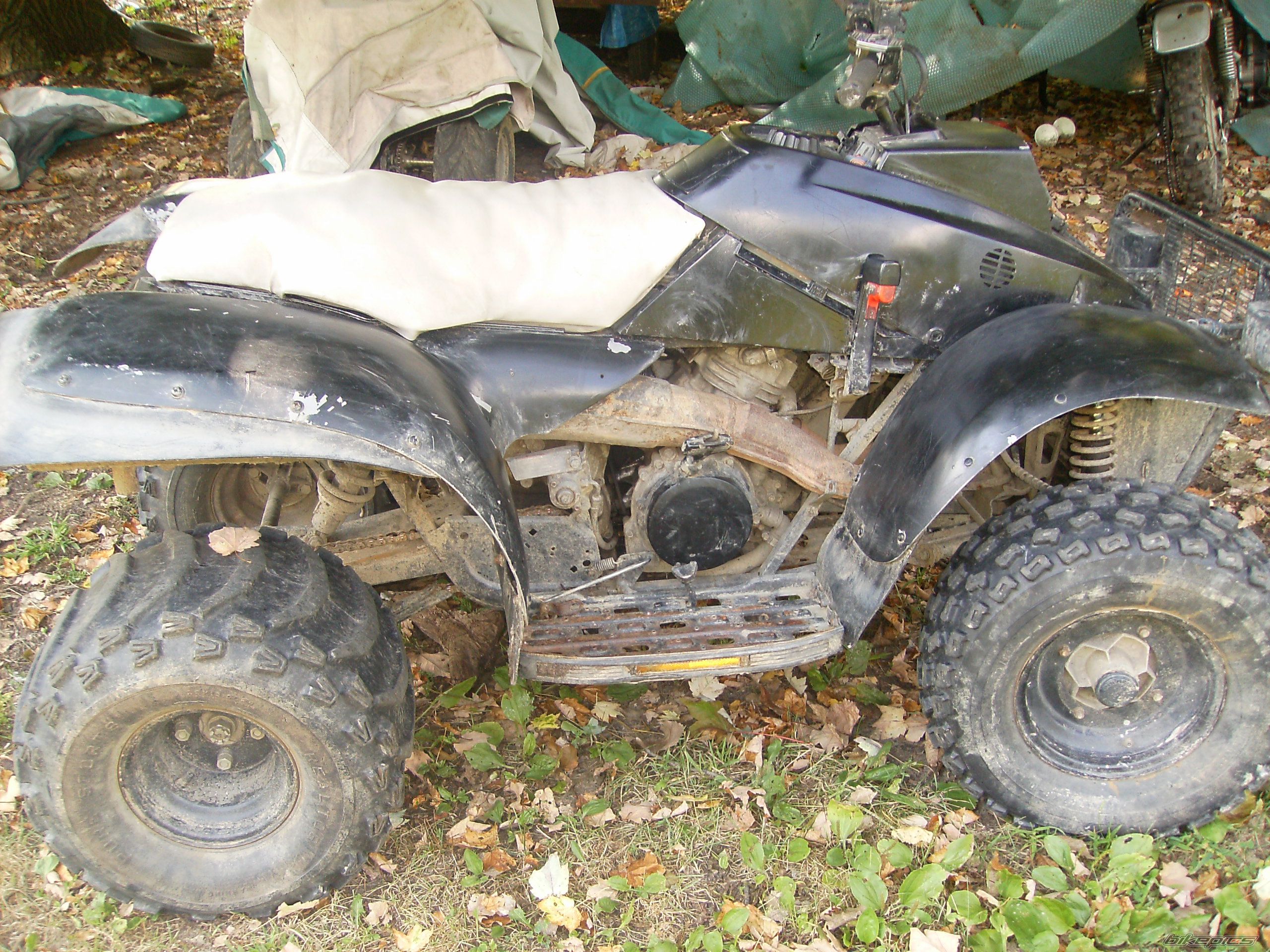 Photo 1135921