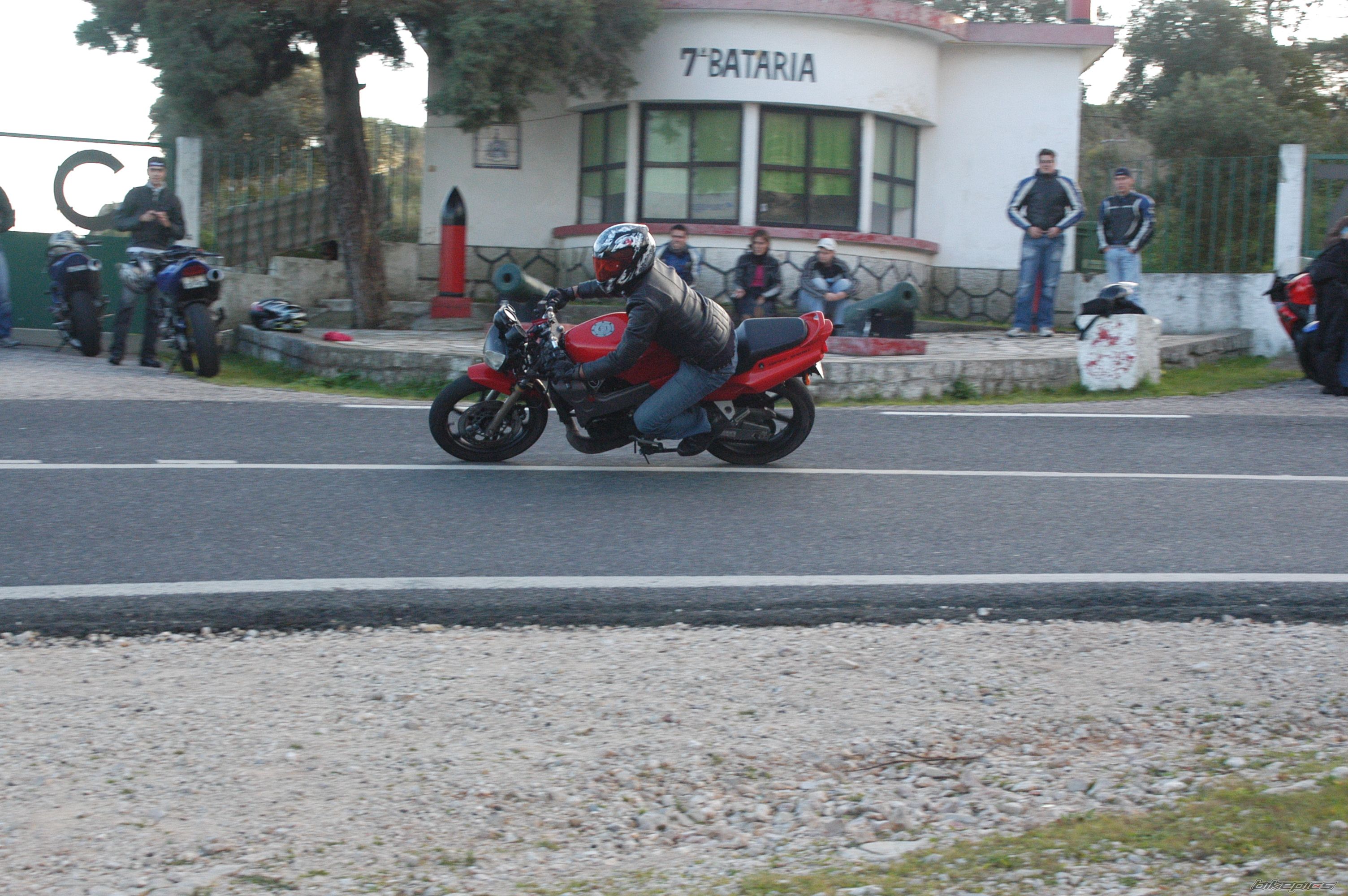 Photo 1135934