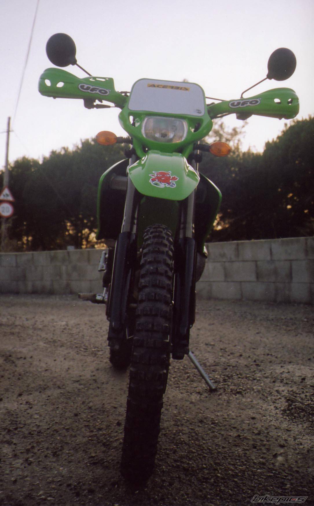 Photo 113595
