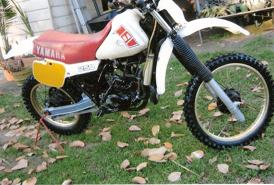 Bike Photo 1135969