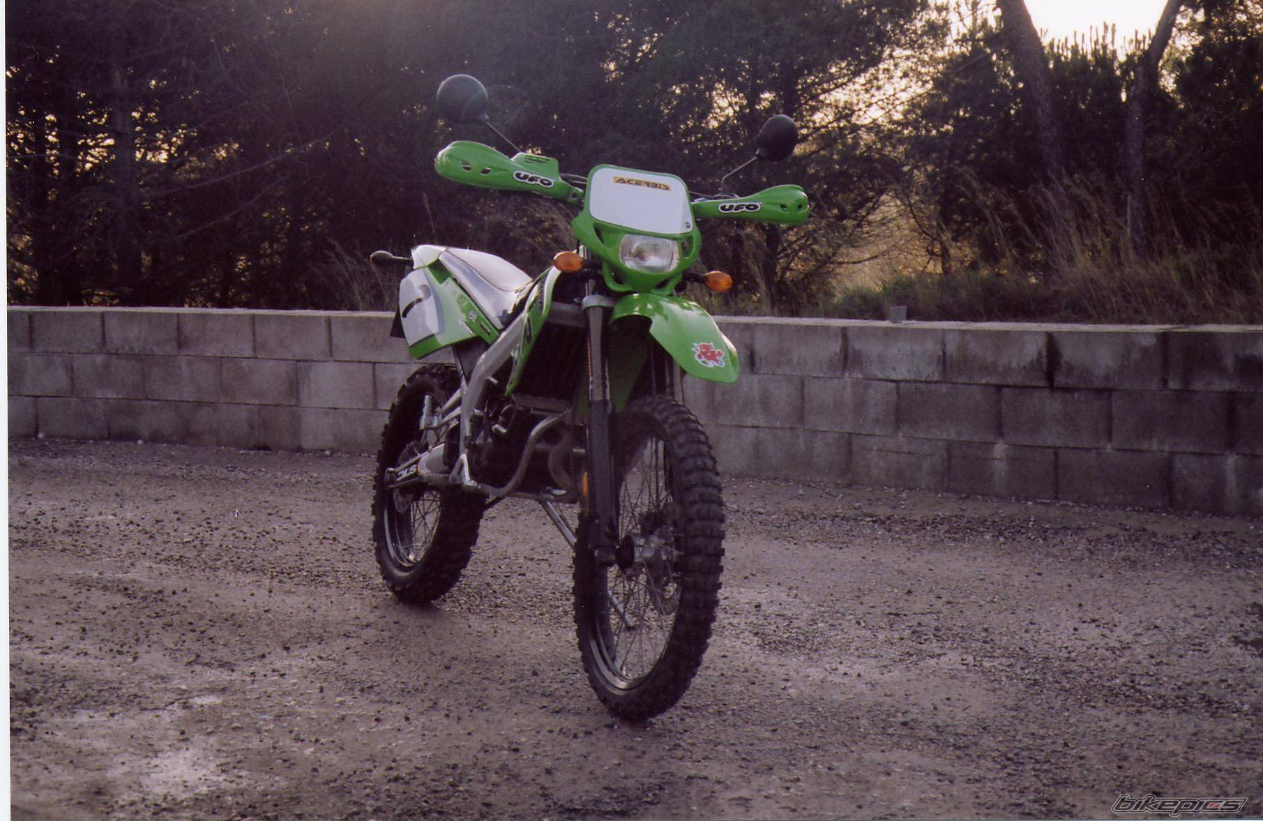 Photo 113599