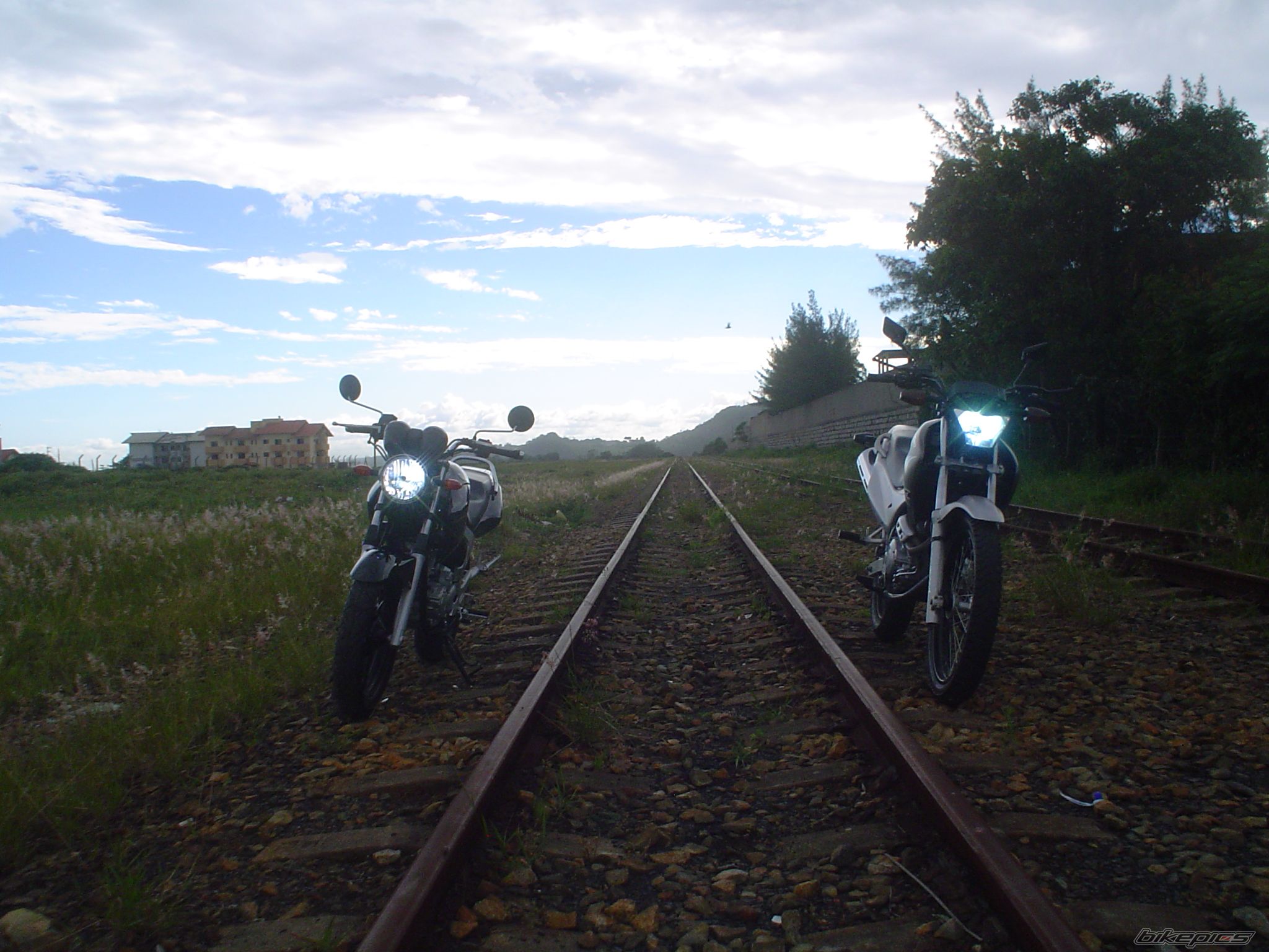 Photo 1136028