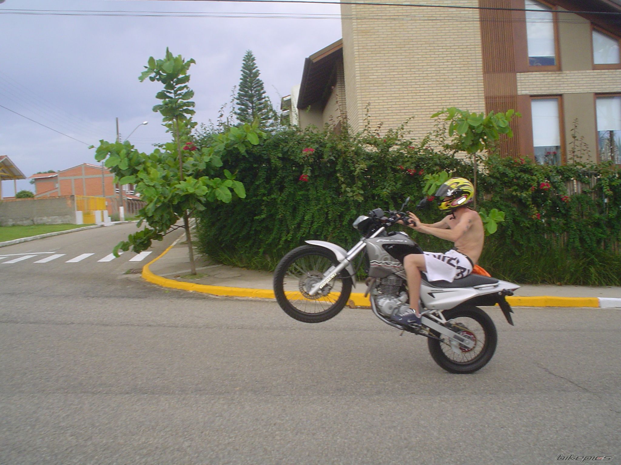 Photo 1136029