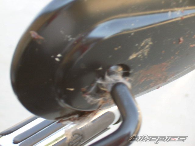 Photo 1136043