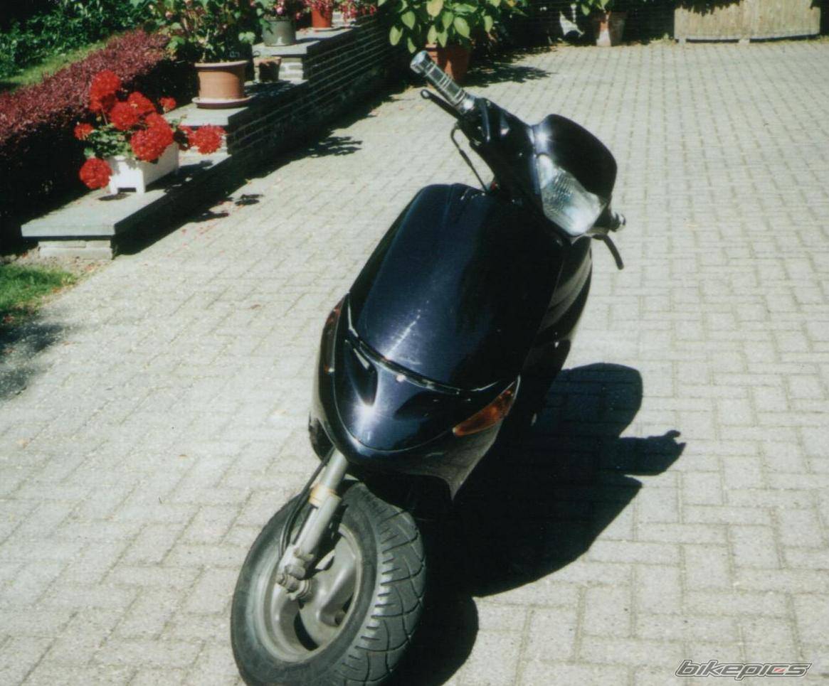 Photo 113610