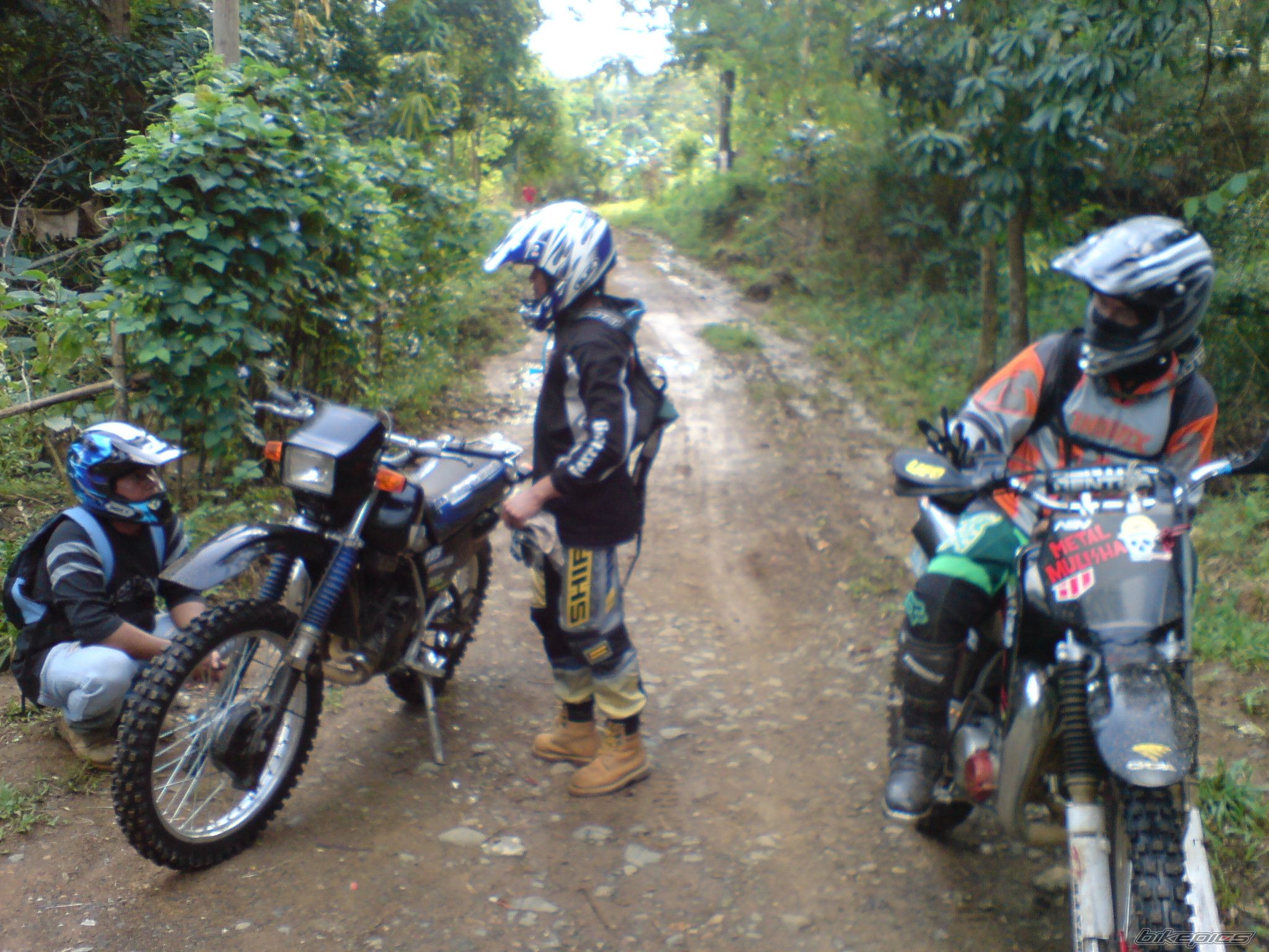 Photo 1136229