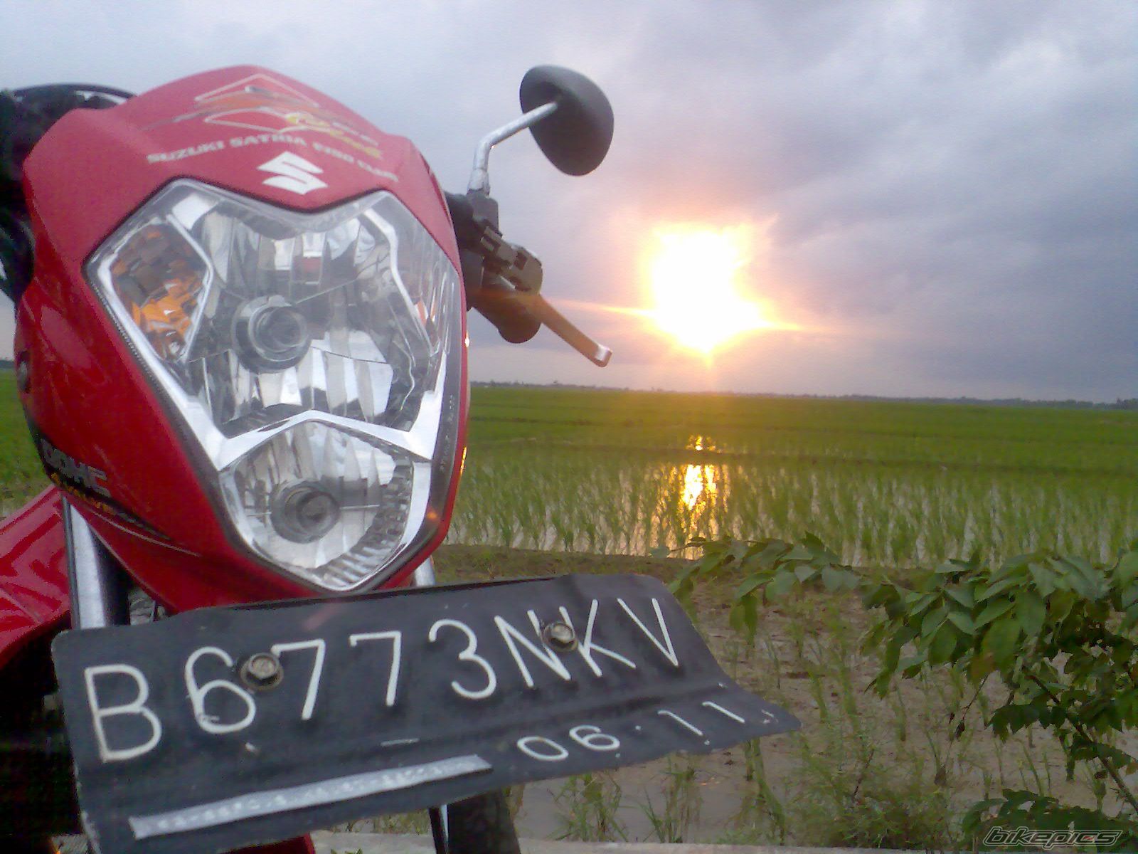Photo 1136230