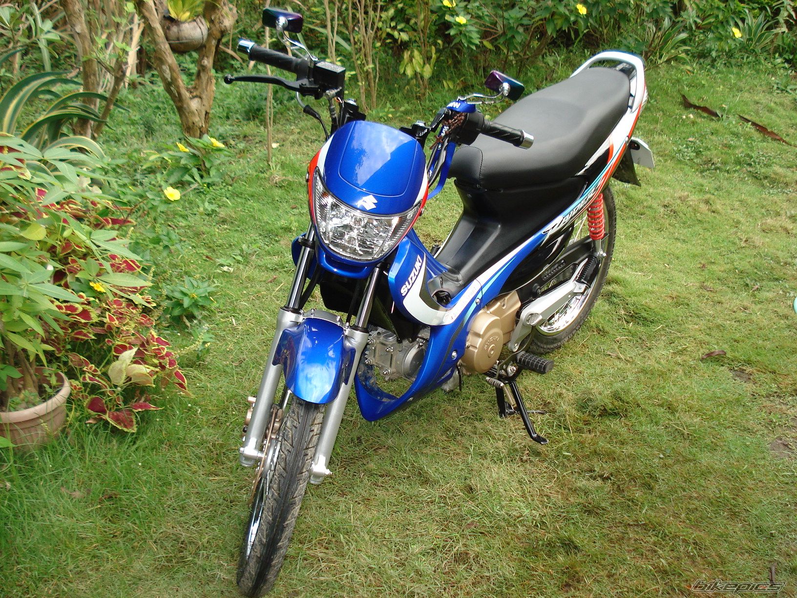 Photo 1136287