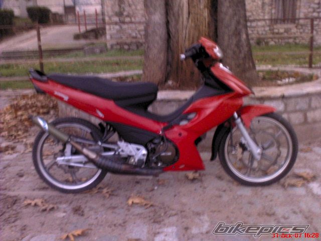 Photo 1136291