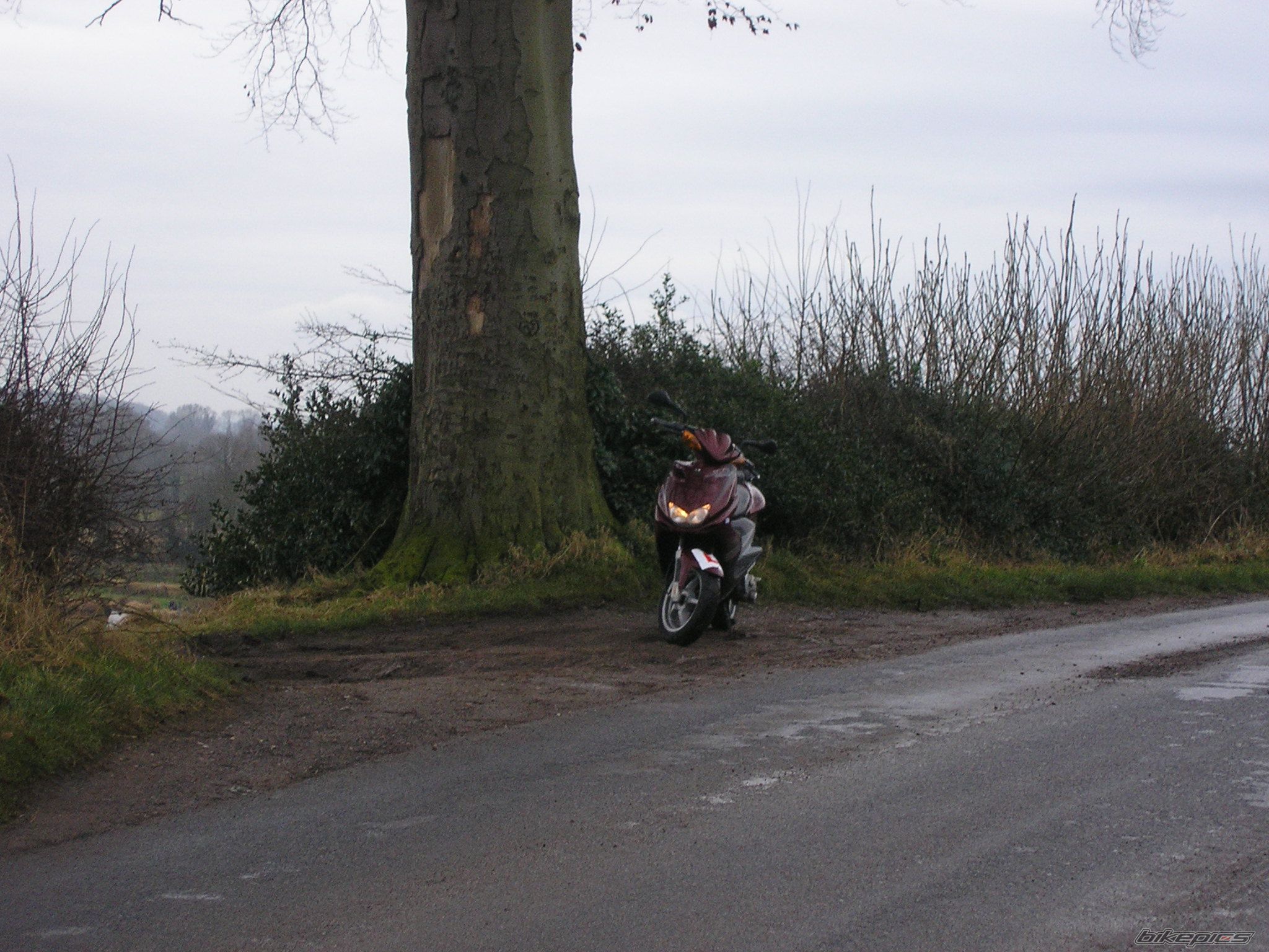 Bike Photo 1136336